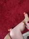 Foto privada de CinderellAfeet
